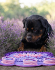 Lavender Dreams Snuffle Mat