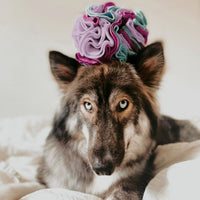 FurryBloom