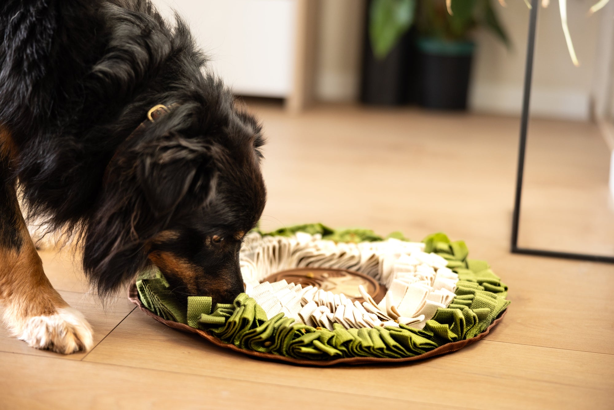 Premium Snuffle Mats