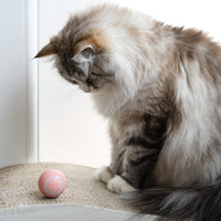Smart Ball