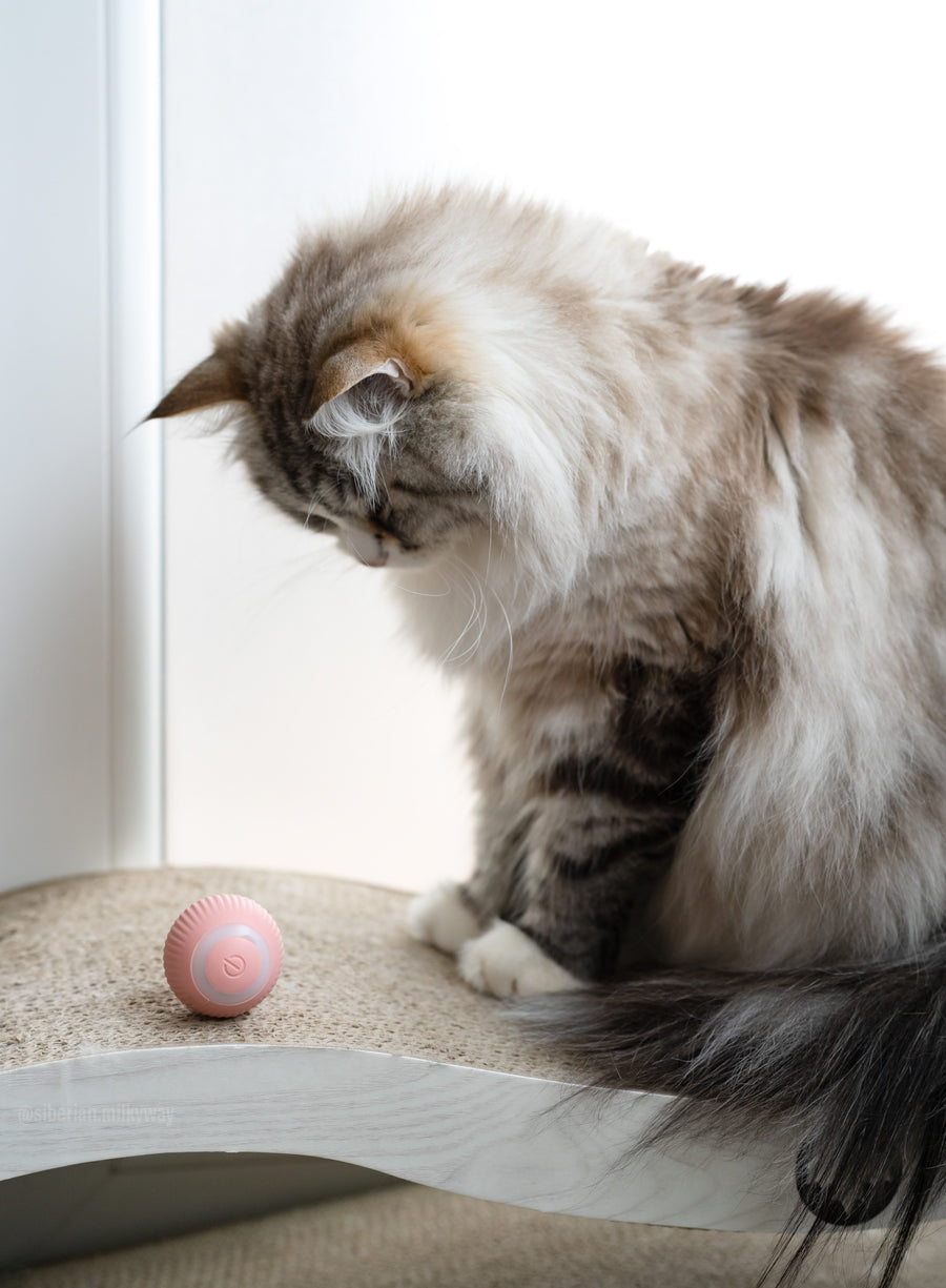 Smart Ball
