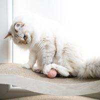 Smart Ball