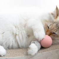 Smart Ball