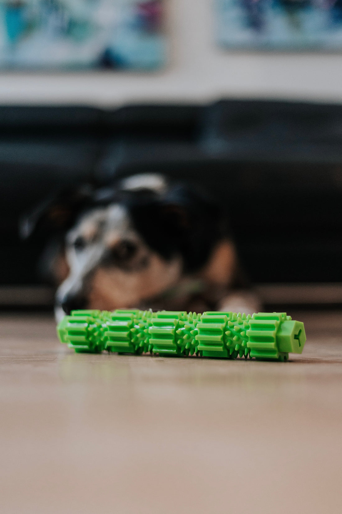 BambooStick