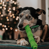 BambooStick