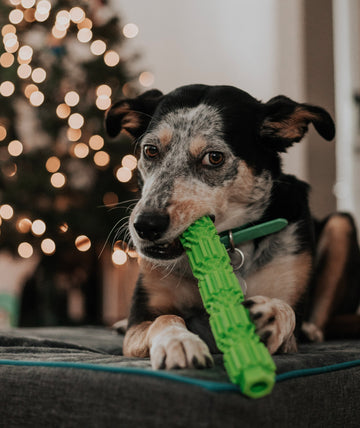 BambooStick