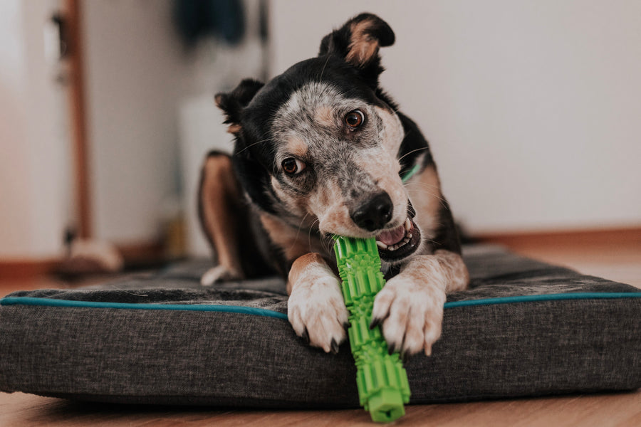 BambooStick