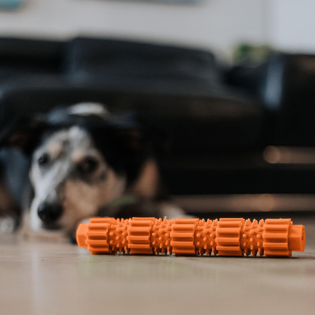 BambooStick