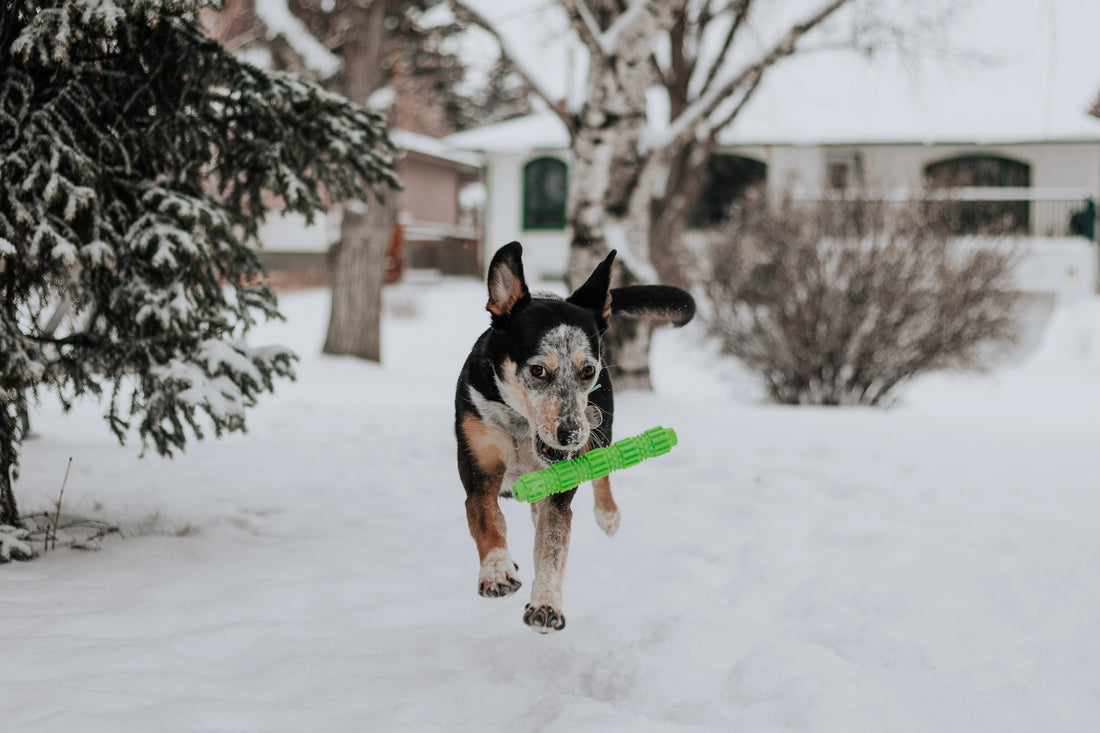 BambooStick