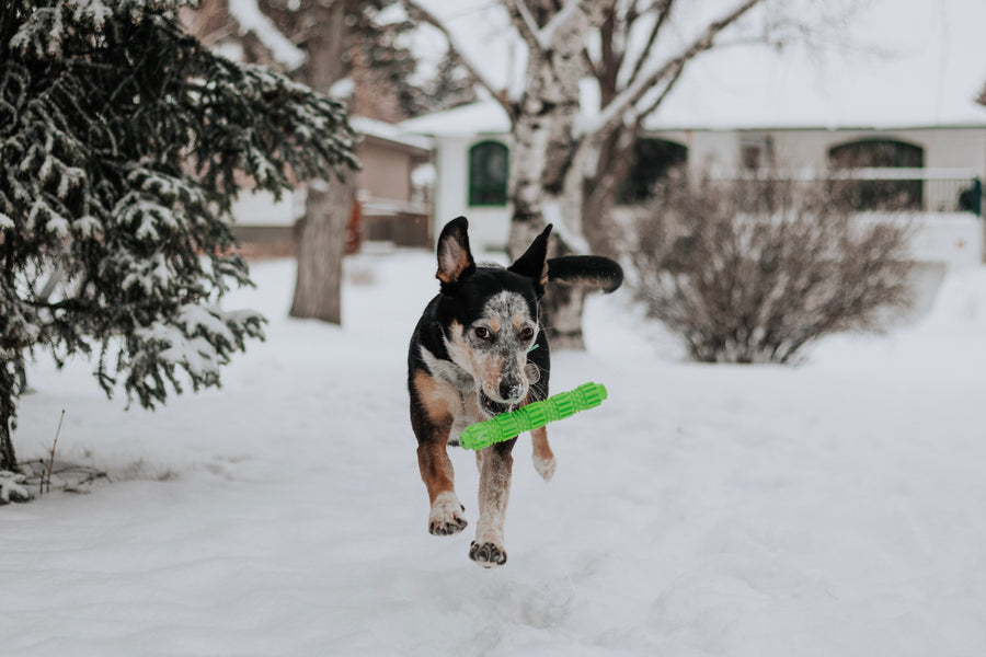 BambooStick