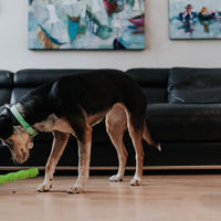 BambooStick
