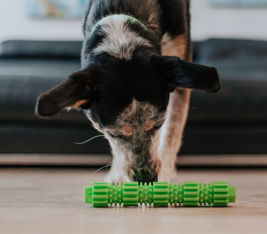 BambooStick