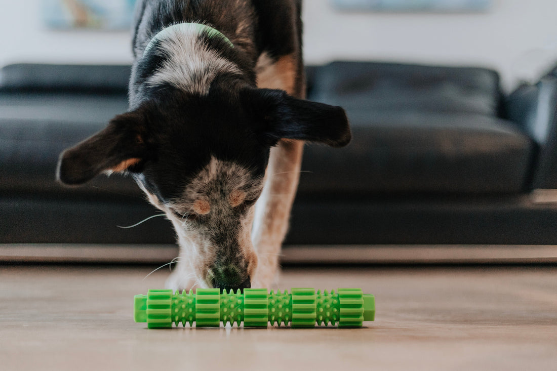 BambooStick