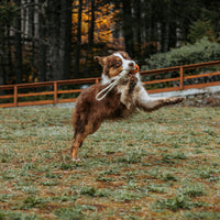 IxRope