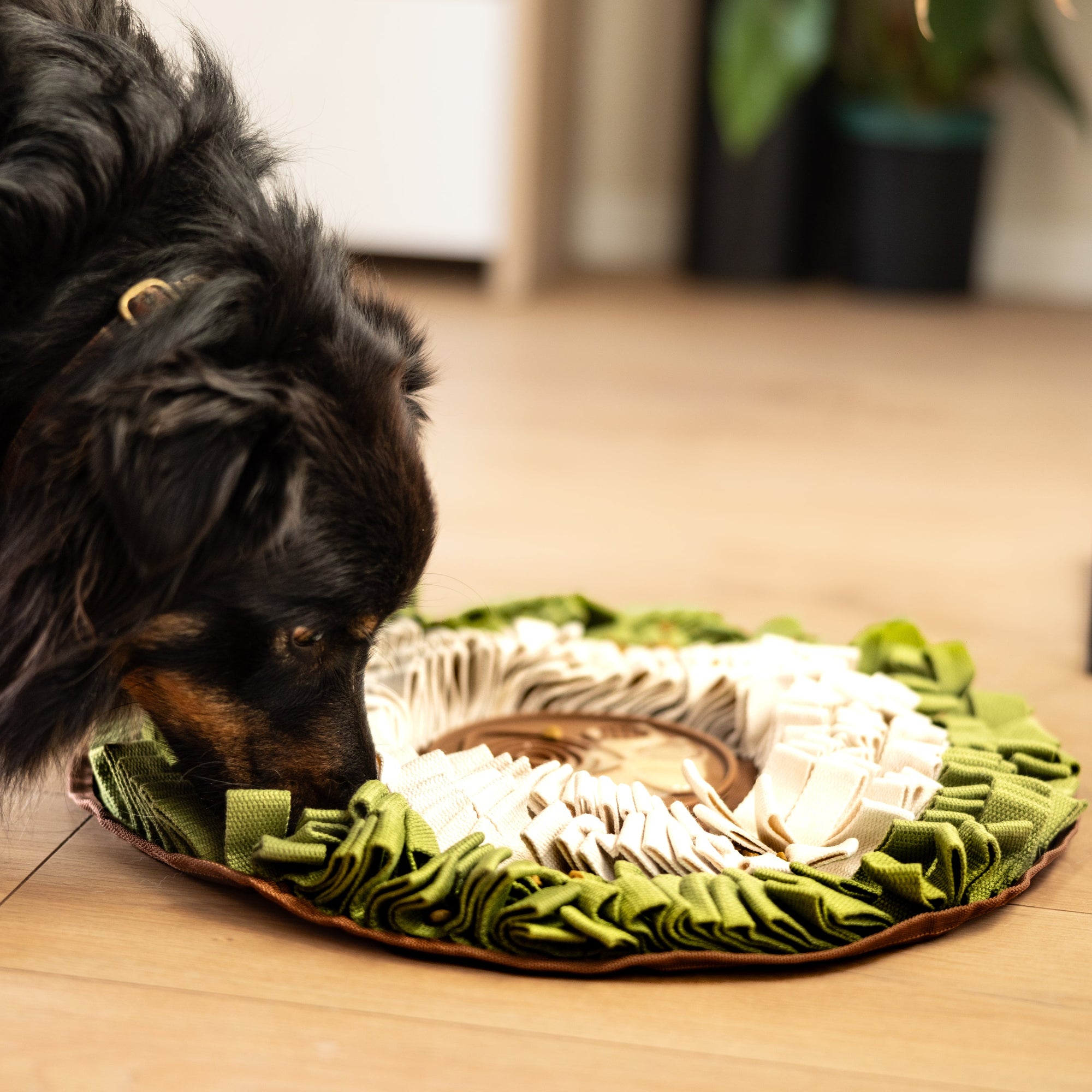 WildOasis Enrichment Mat