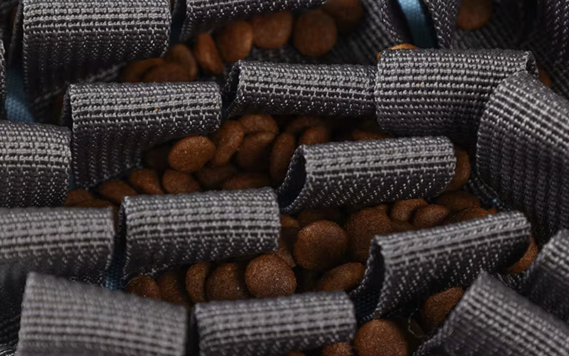 Pawlympics Training Mat