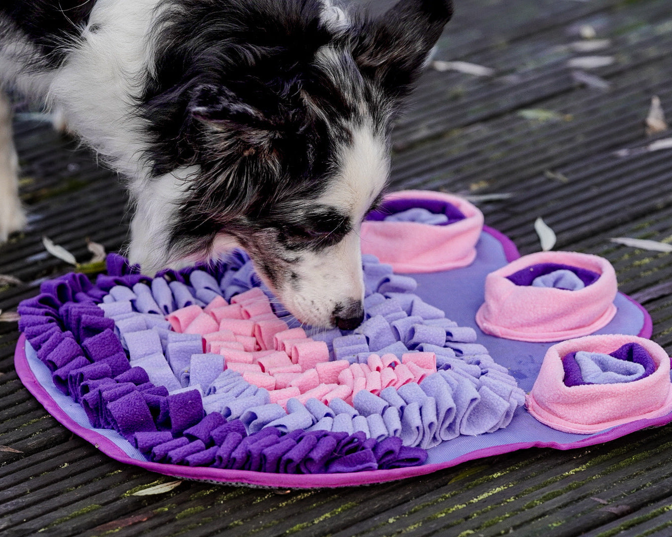 Lavender Dreams Snuffle Mat