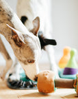 Pawlympics Training Mat