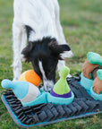 Pawlympics Training Mat