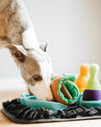 Pawlympics Training Mat