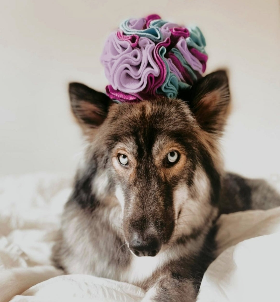 FurryBloom